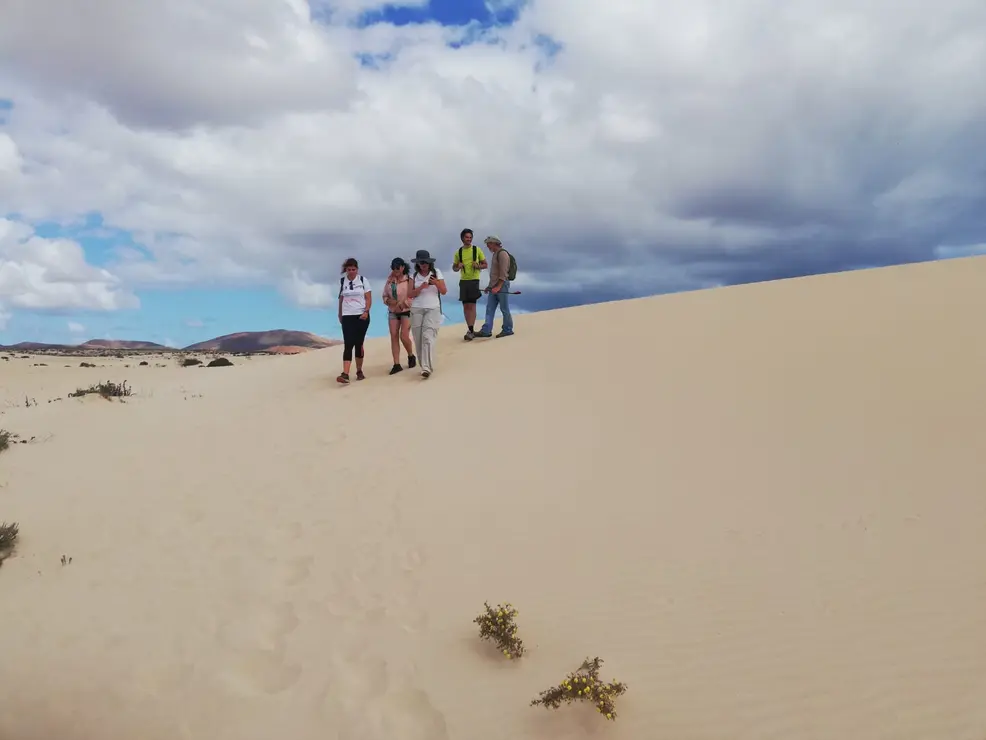 caminando por las dunas (13)