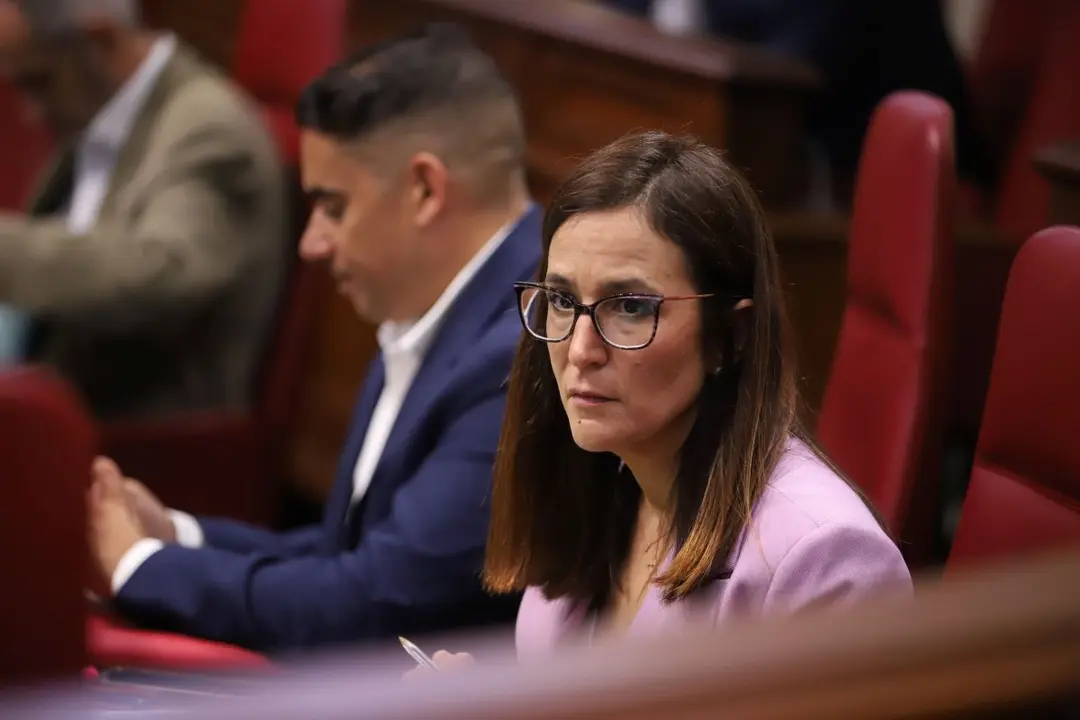 La parlamentaria de Nueva Canarias-Bloque Canarista (NC-BC), Natalia Santana