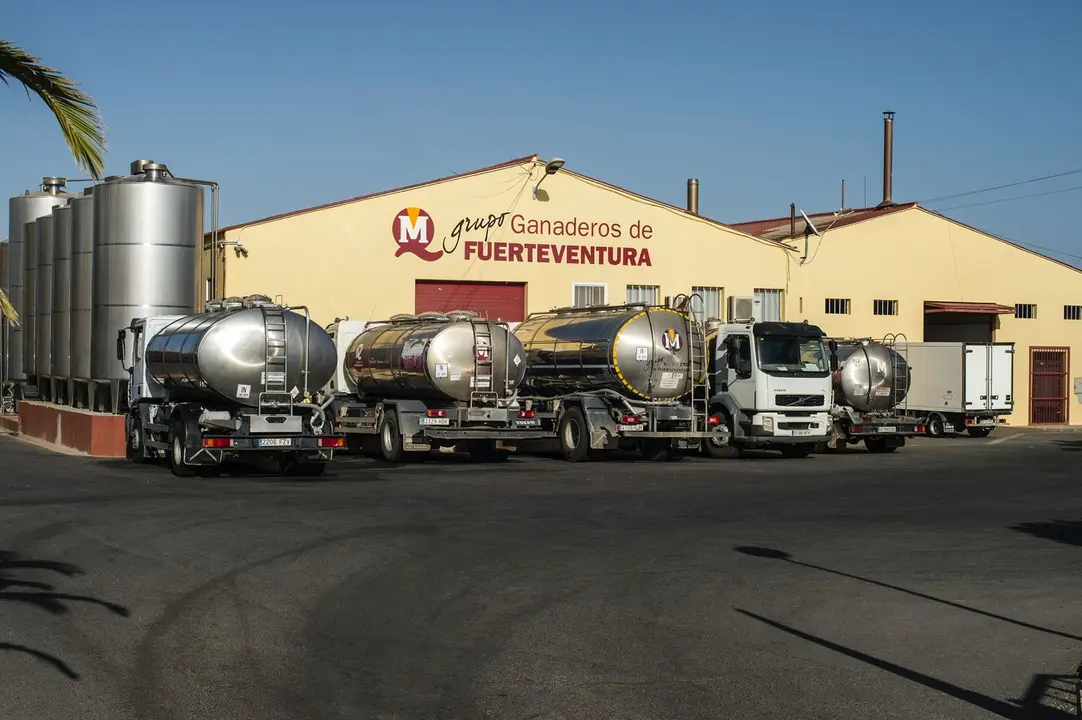 Instalaciones del  Grupo Ganaderos de Fuerteventura, en Tuineje.
