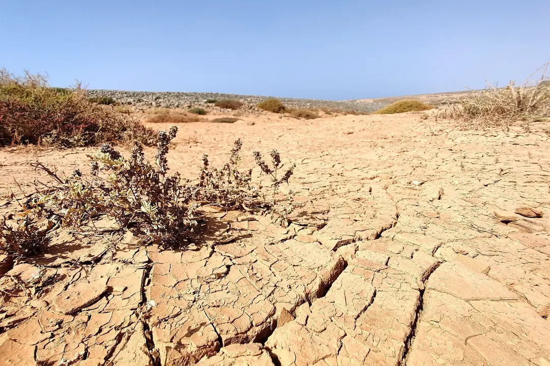 Terreno seco en Fuerteventura (©Fuerteventura Digital).