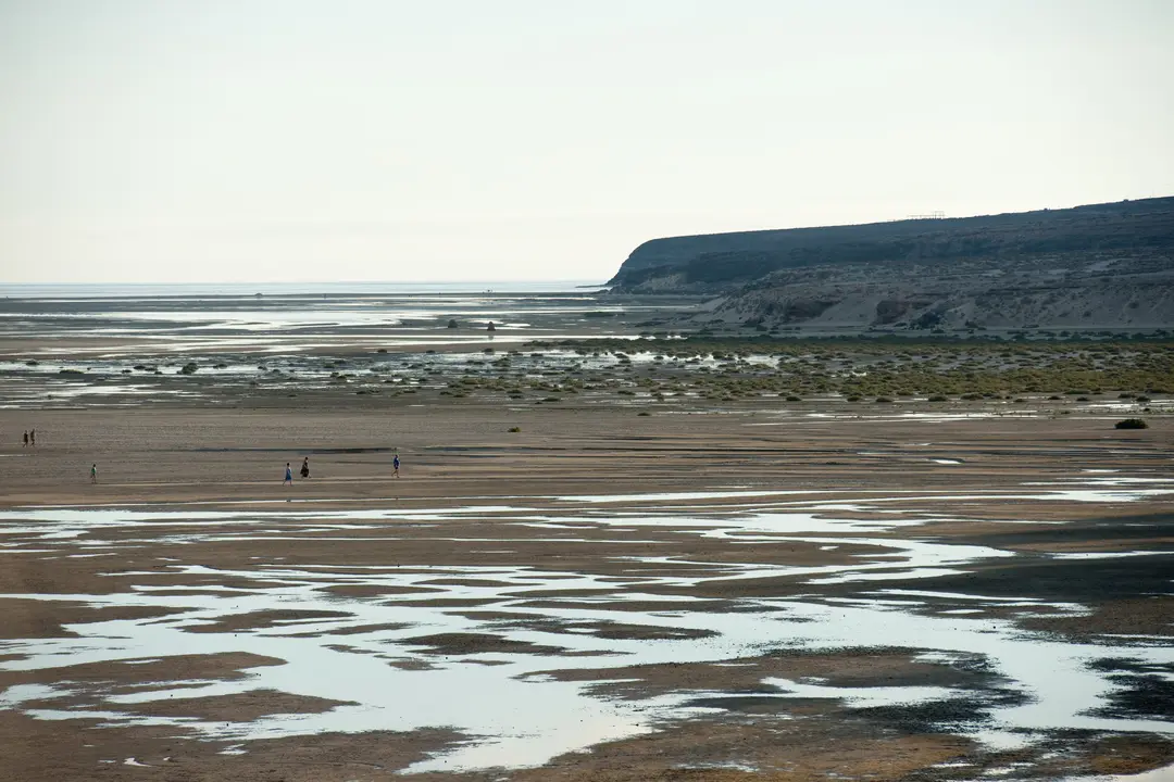 Humedal en Playa de La Barca, Sotavento, Pájara (Imagen de RBF).