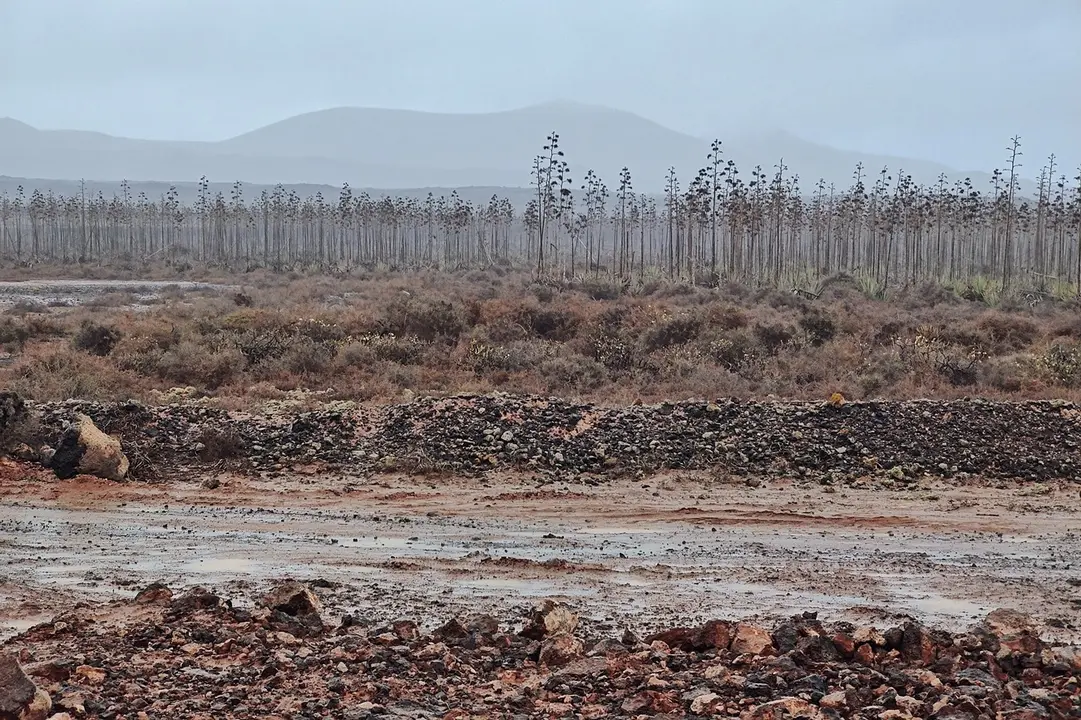 Lluvias en Lajares durante la alerta.