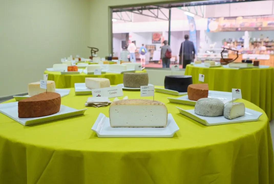 Concurso Nacional de Quesos de Leche de Cabra Tabefe en Feaga 2025.