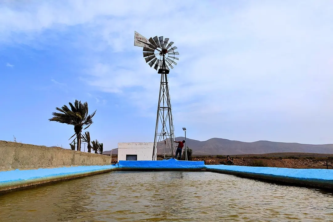 Molino de Chicago en Antigua (FD, abril de 2023).
