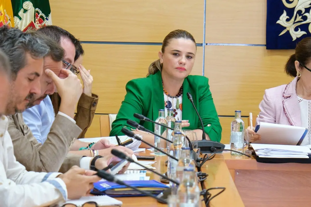 Nuria Cabrera, en el pleno del Cabildo.
