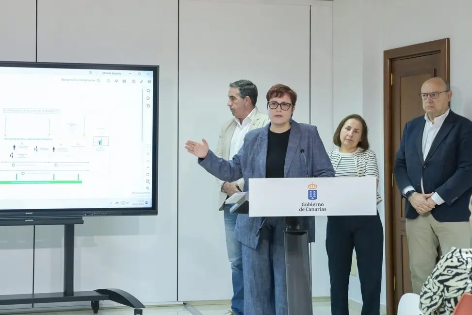 La consejera de Bienestar Social, Candelaria Delgado, en rueda de prensa sobre el sistema de la Dependencia en Canarias.