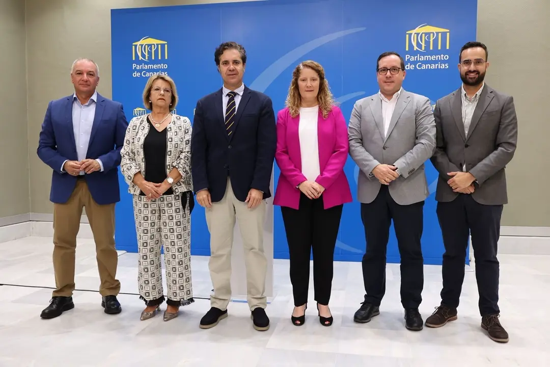 Seis grupos del Parlamento apoyan legislar en Accesibilidad Universal.