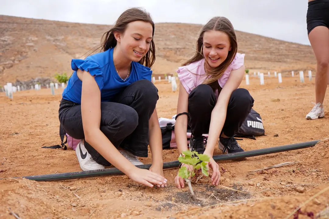 Proyecto 'De la tierra', del Ayuntamiento de La Oliva.