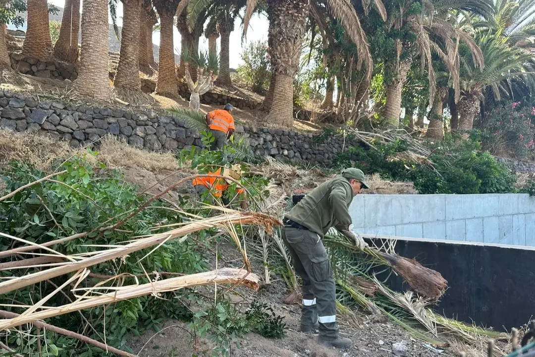 Retirada de maleza junto al CEIP Morro Jable.