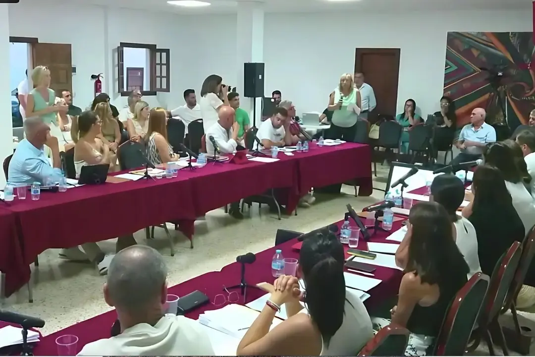 Salvar La Cornisa intervino en el pleno municipal.