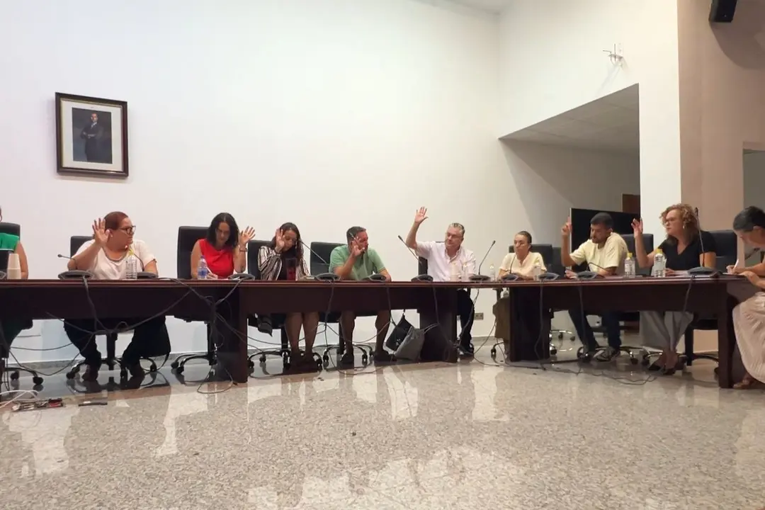 Pleno extraordinario en el Ayuntamiento de Tuineje.