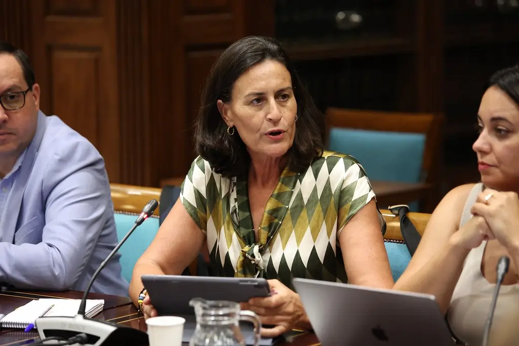 Natalia Évora, en una comisión de Política Territorial.