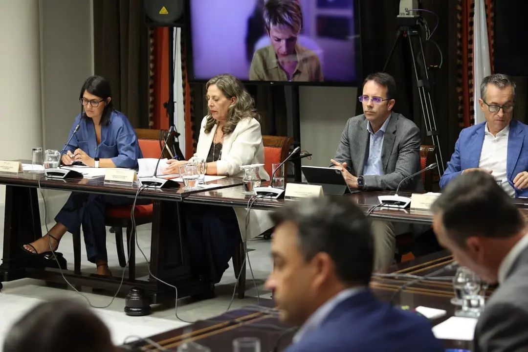Comisión de Cabildos del Parlamento de Canarias, el 7 de octubre de 2025.