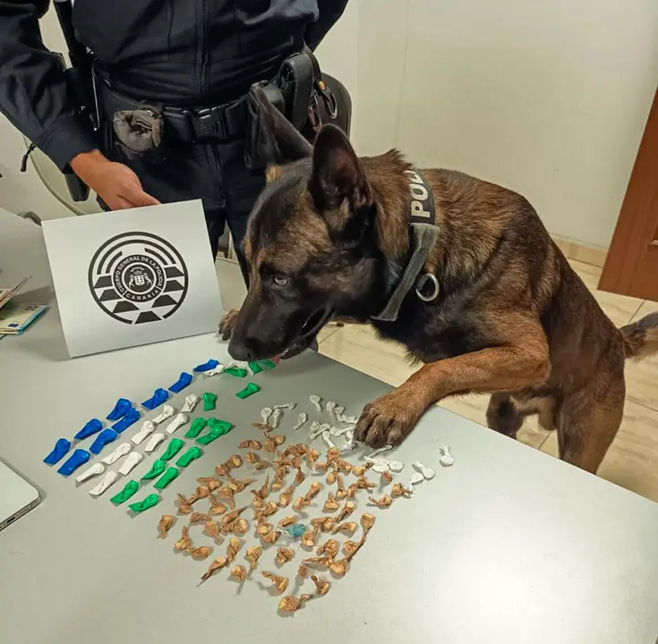 Intervención de los perros del Grupo de Guías Caninos de la Policía Canaria en Morro Jable.