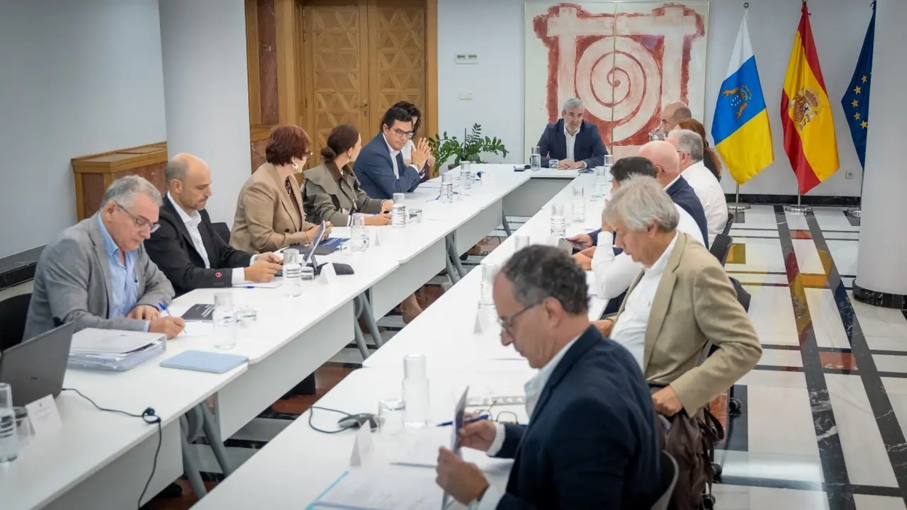Consejo Asesor del Gobierno de Canarias.
