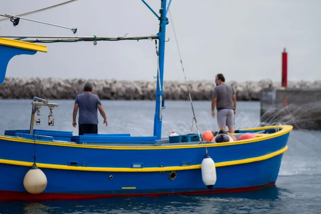 Flota pesquera canaria, en una imagen de la Federaci&oacute;n Regional de Cofrad&iacute;as de Pescadores.