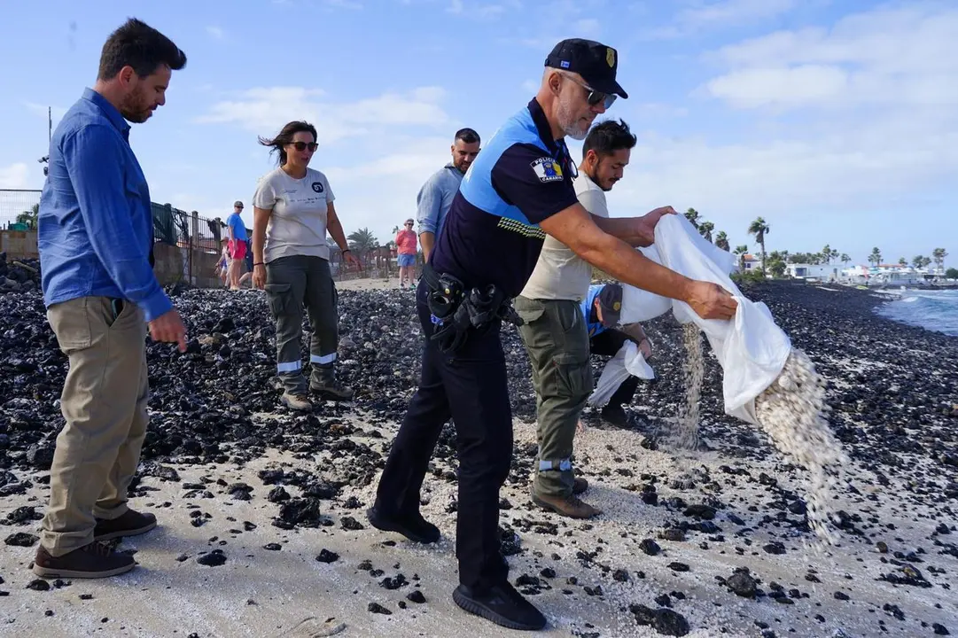 Momento de la devolución de rodolitos a las playas de Corralejo (4)