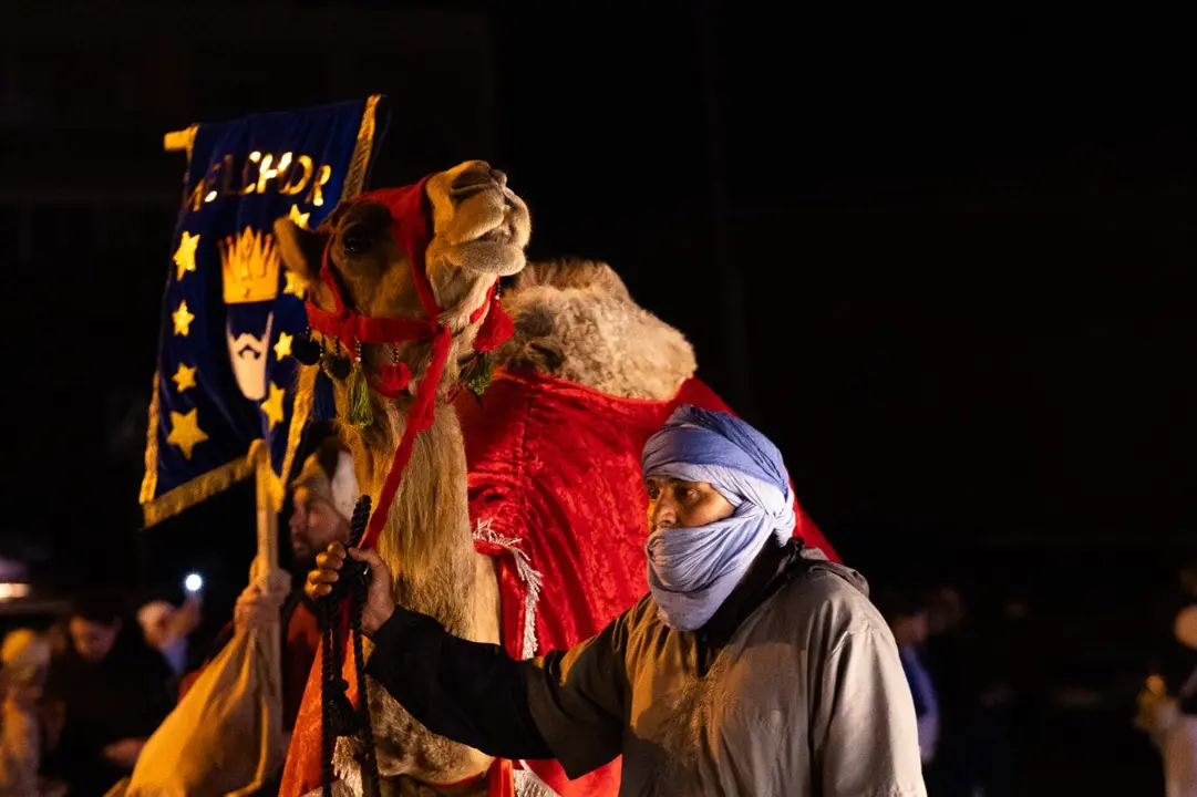 Imagen difundida desde la Asociaci&oacute;n del Camello Canario.