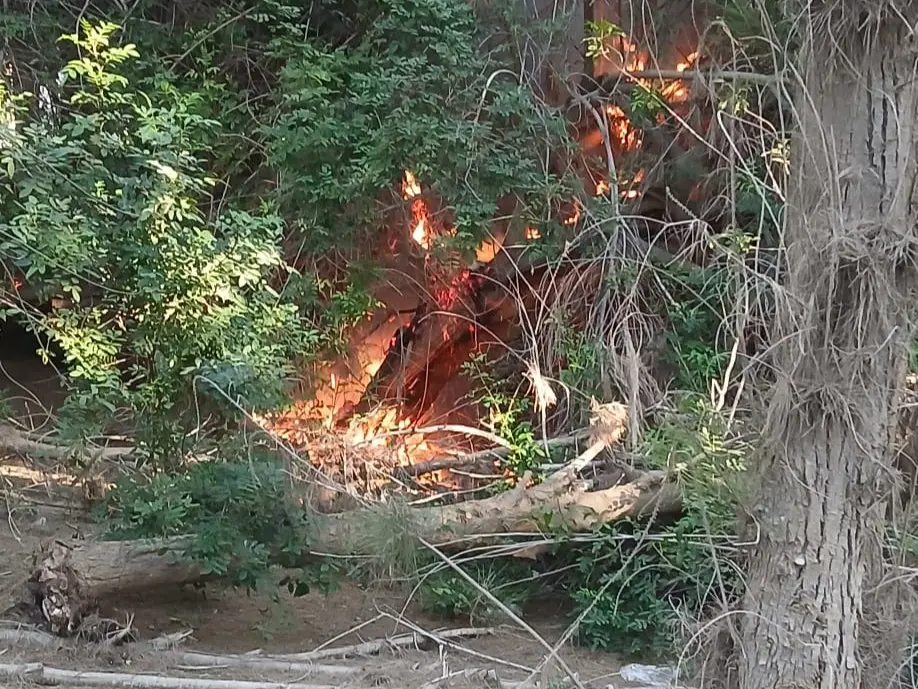 Imagen que ilustra el sabotaje en Costa Calma.