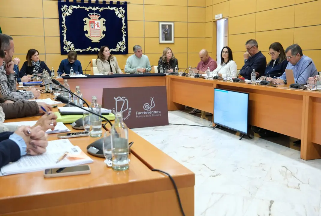 Sesi&oacute;n ordinaria del pleno del Cabildo, en enero de 2026.