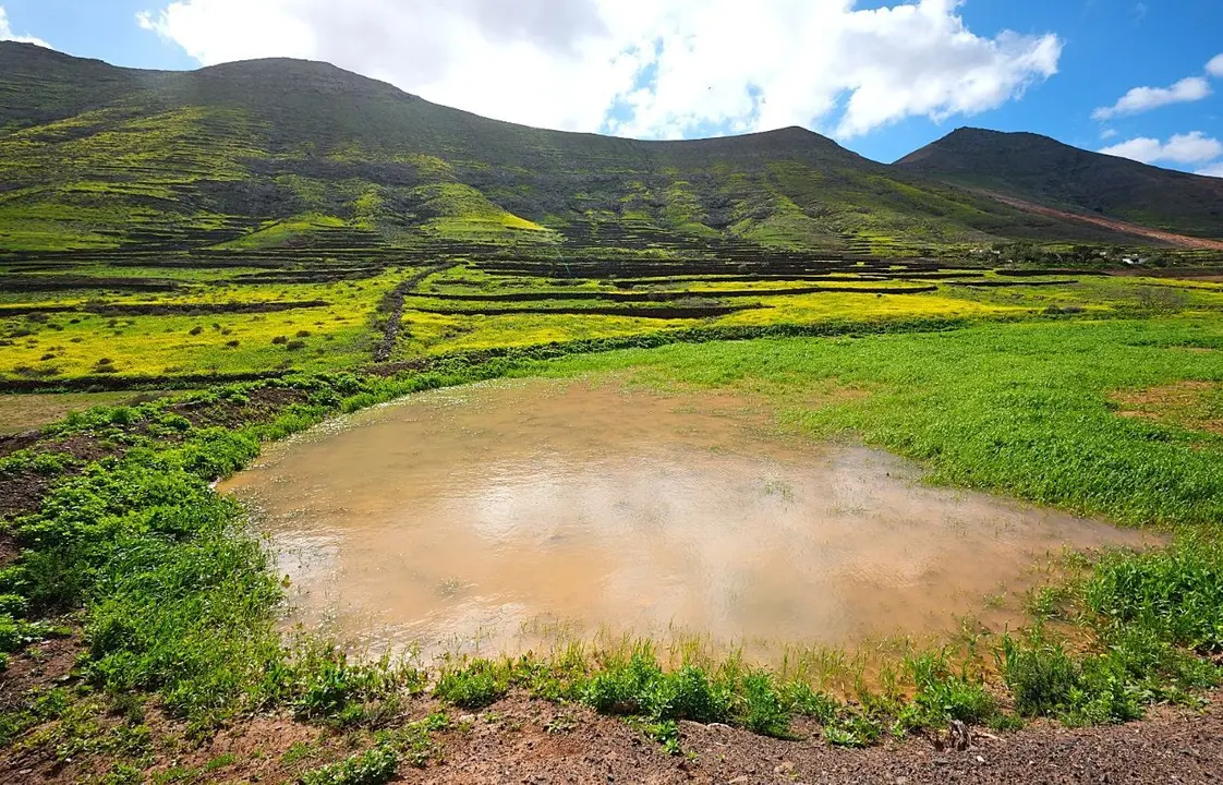 Gavia llena por las lluvias en Vallebr&oacute;n (La Oliva).