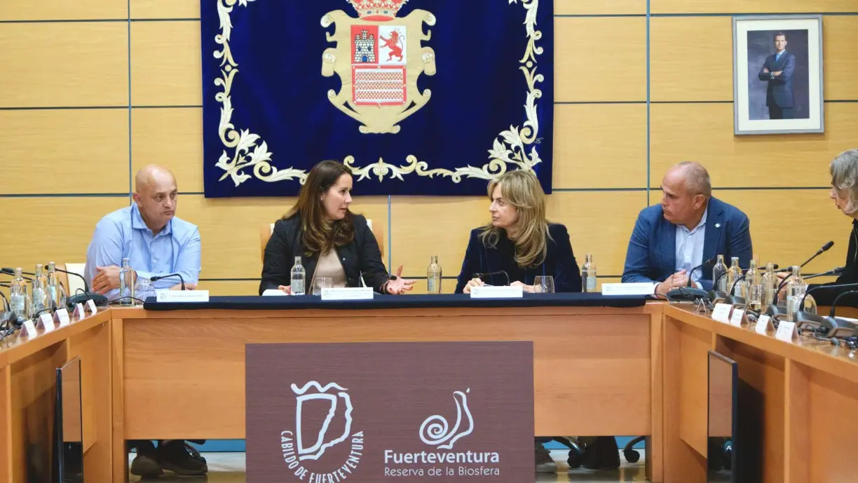 Reuni&oacute;n en el Cabildo con la consejera de Sanidad