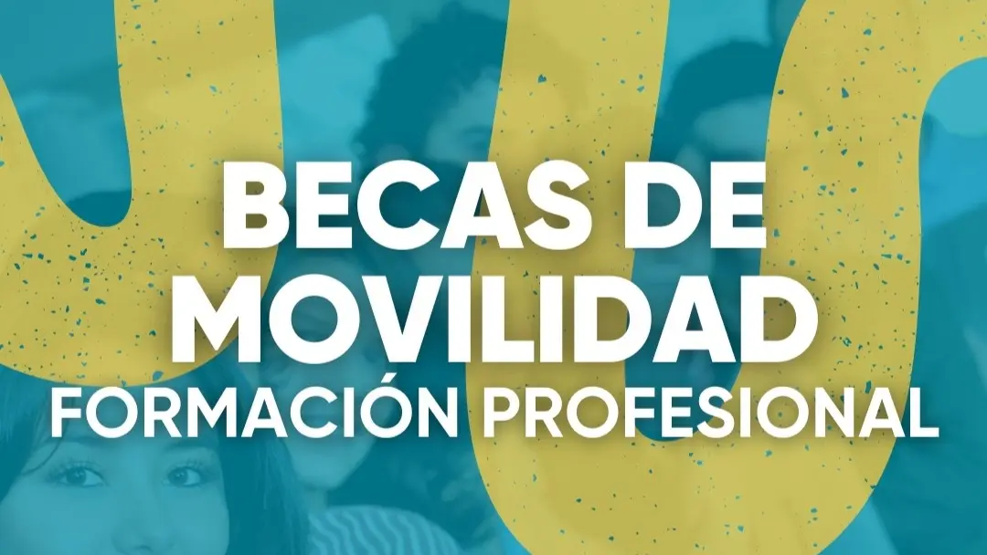 Cartel de las becas Erasmus-S&oacute;crates, Sicue-S&eacute;neca de Educaci&oacute;n del Cabildo.
