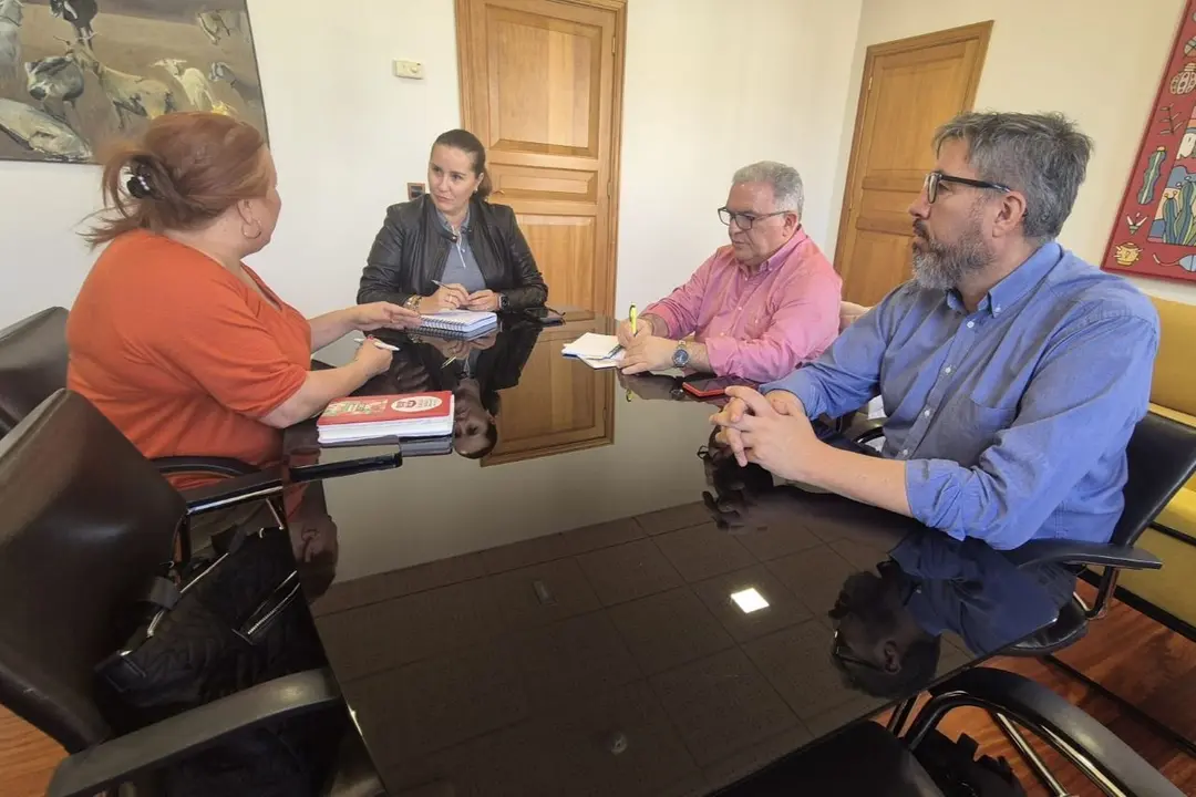 Lola Garc&iacute;a recibi&oacute; en el Cabildo a representantes de Comisiones Obreras.