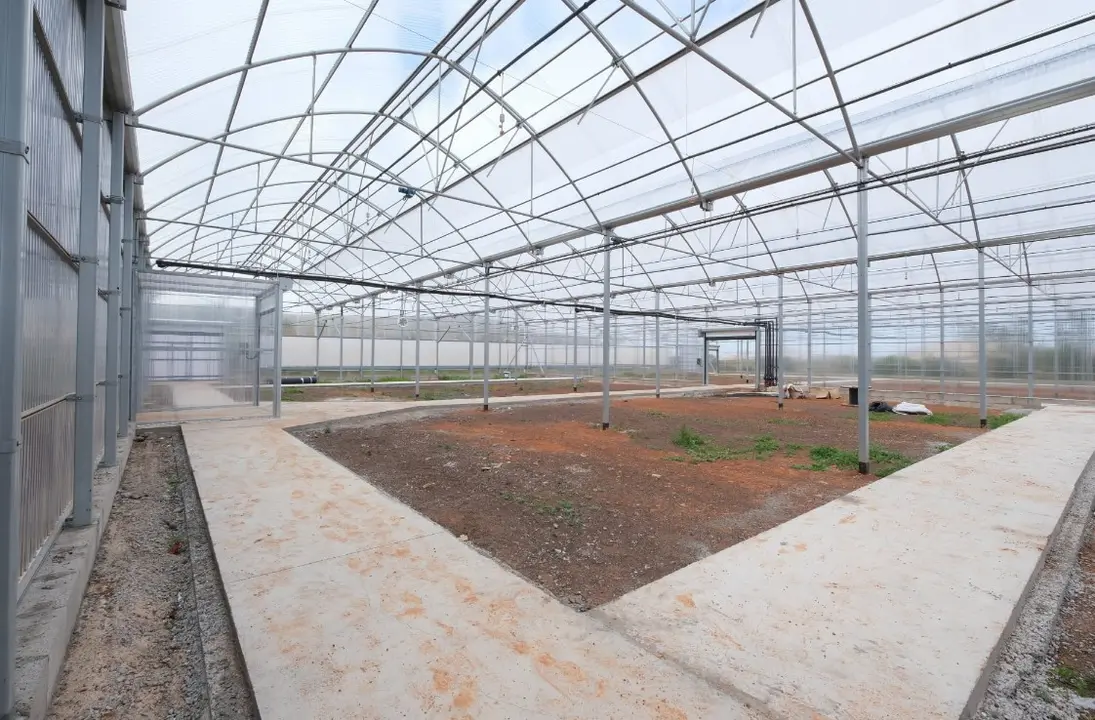 Estaci&oacute;n Biol&oacute;gica de La Oliva.