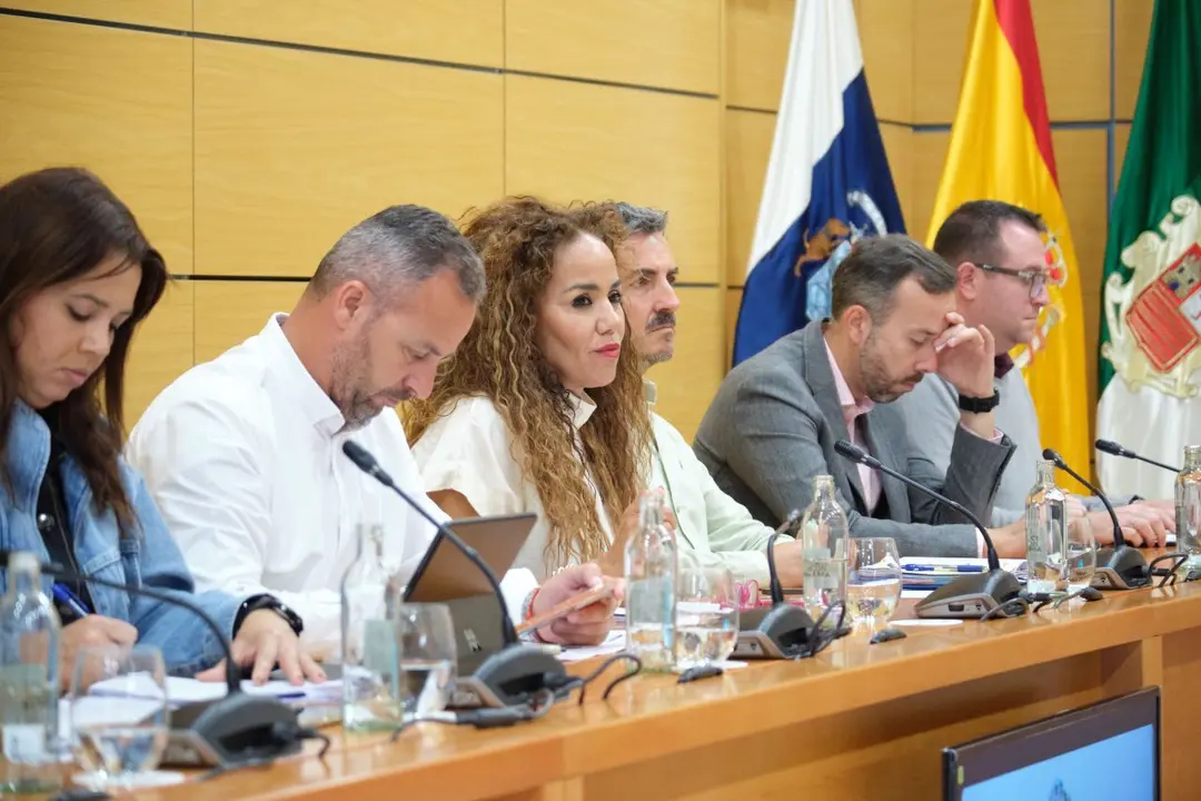 La consejera Carmen Alonso, en el pleno del Cabildo.
