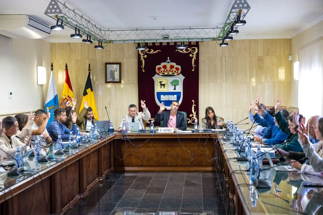 Votaci&oacute;n en el pleno de La Oliva.