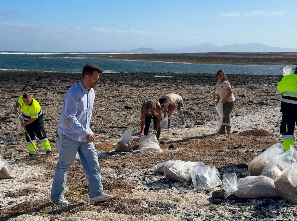 Devoluci&oacute;n de rodolitos a las playas de La Oliva.