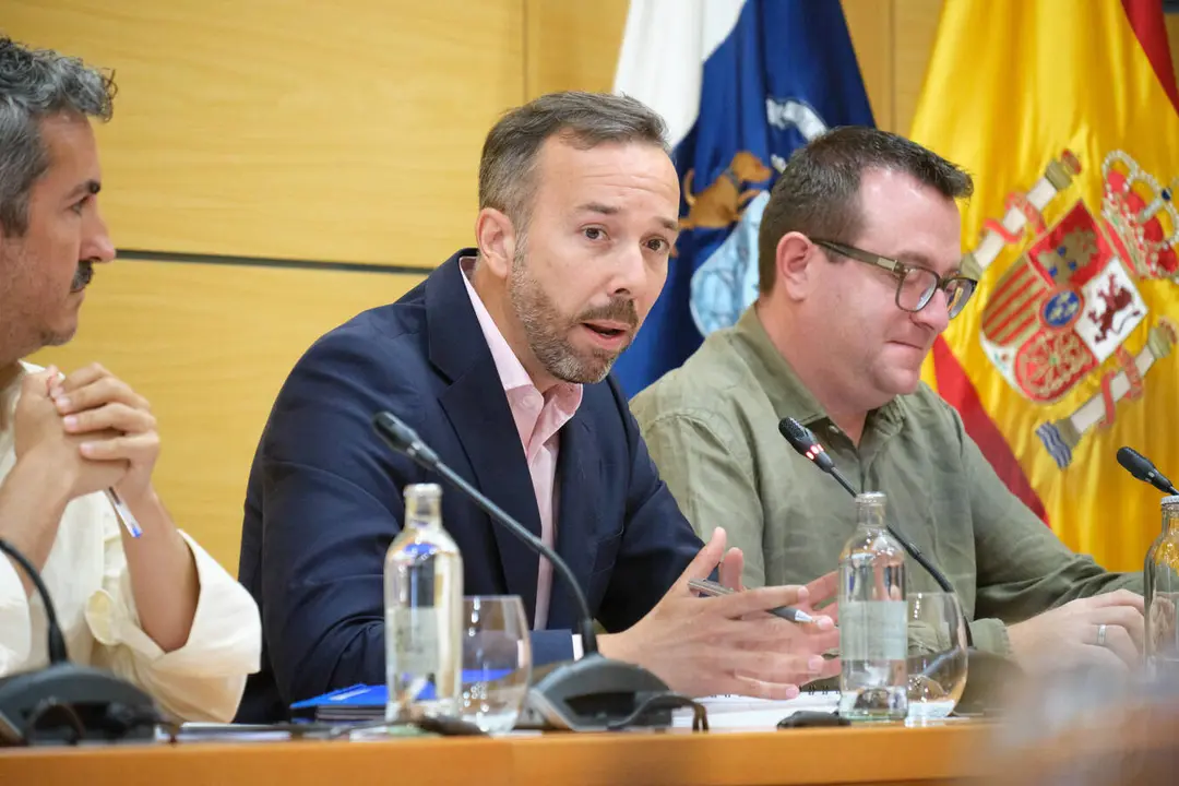 Luis Gonz&aacute;lez, en el pleno del Cabildo de mayo de 2026.