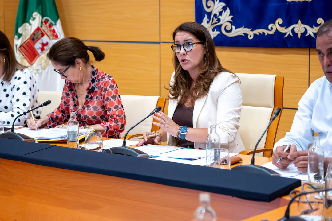 La presidenta insular, Lola Garc&iacute;a, comparece en pleno a petici&oacute;n de la oposici&oacute;n.