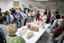 Visita a los fondos del Museo Arqueológico dentro del Ciclo Erbania.