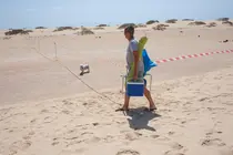 Espacio acotado en la restauración de las Dunas de Corralejo.
