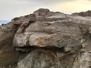 Grabados aparecidos en la Playa de La Pared, en el municipio de Pájara.