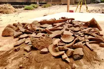 Prospección arqueológica en la Cueva de Villaverde | ©Fuerteventura Digital, 2019