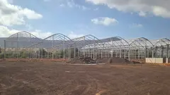 La Estación Biológica de La Oliva contará con invernaderos y banco de germoplasma.