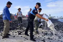Momento de la devolución de rodolitos a las playas de Corralejo (4)