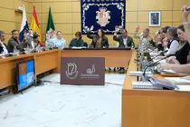 El pleno del Cabildo renueva el convenio de Dependencia