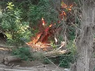 Imagen que ilustra el sabotaje en Costa Calma.