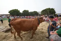 Escolares visitan FEAGA 2026.