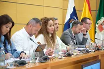 La consejera Carmen Alonso, en el pleno del Cabildo.