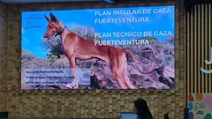 Presentaci&oacute;n de los borradores del  Plan Insular y Plan T&eacute;cnico de Caza.