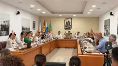 Pleno de Puerto del Rosario, en sesi&oacute;n ordinaria de mayo de 2026.