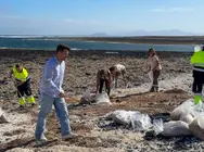 Devoluci&oacute;n de rodolitos a las playas de La Oliva.
