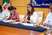 La presidenta insular, Lola Garc&iacute;a, comparece en pleno a petici&oacute;n de la oposici&oacute;n.