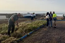 Cuadrillas y concejales en Las Salinas.