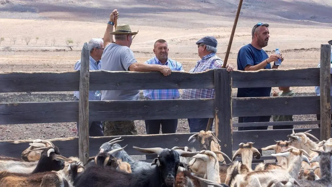 Matías Peña con ganaderos en la apañada de Feaga.